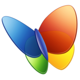 Программы и приложения, MSN